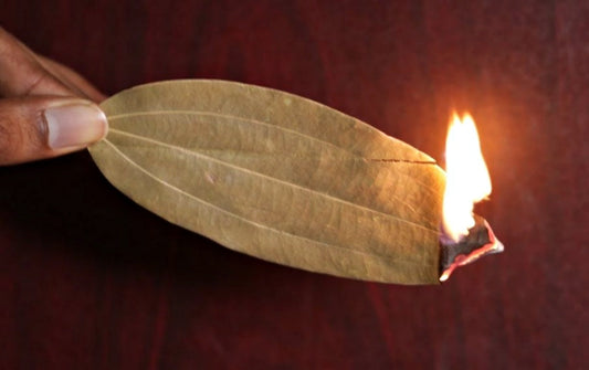 Babérlevél Égetése: Illatvarázs a Természetes Otthoni Atmoszféráért