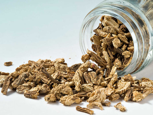 Angelica gyökér 30g