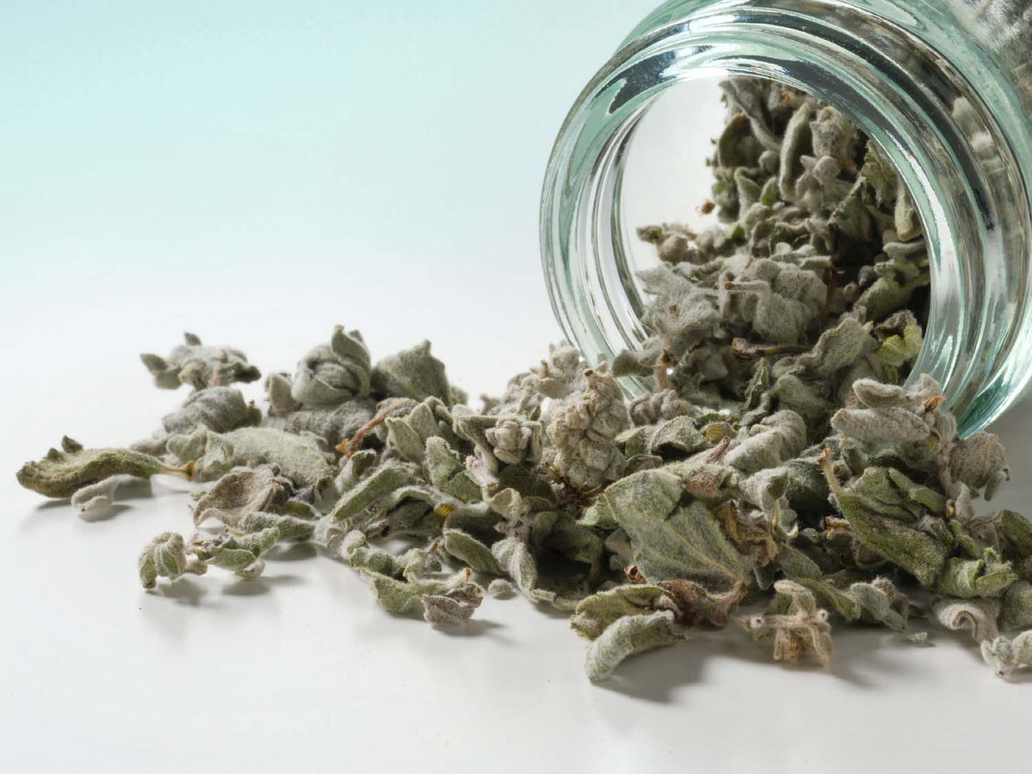 Dittany Cretico levelek 10g