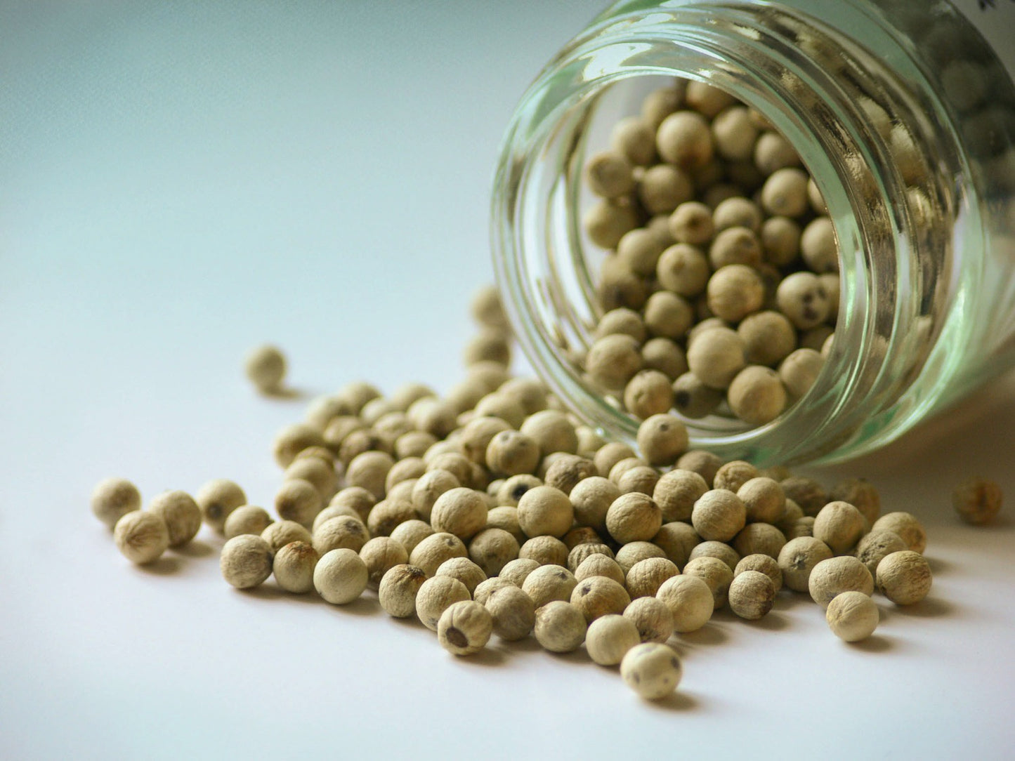 Fehér bors Vietnam Pearl 40g