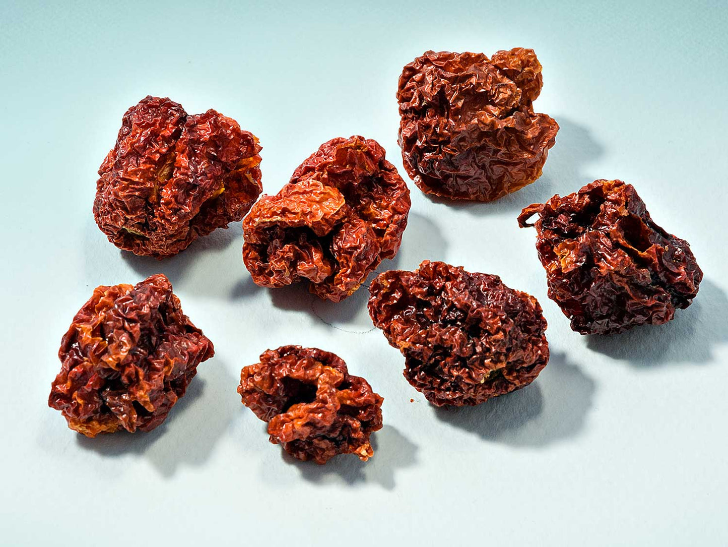 Carolina Reaper Chili Pepper 10g